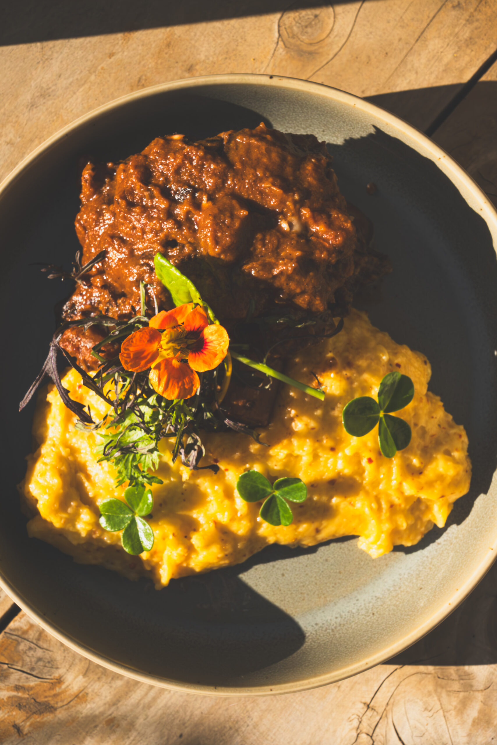 DSC07451-Mejorado-NR